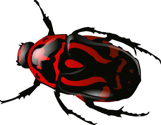 Bug PNG 5