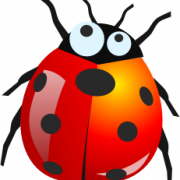 Bug PNG 8