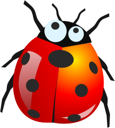 Bug PNG 8