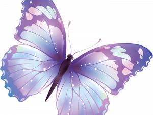 Butterfly PNG 3