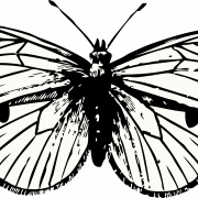 Tatuaje de mariposa PNG
