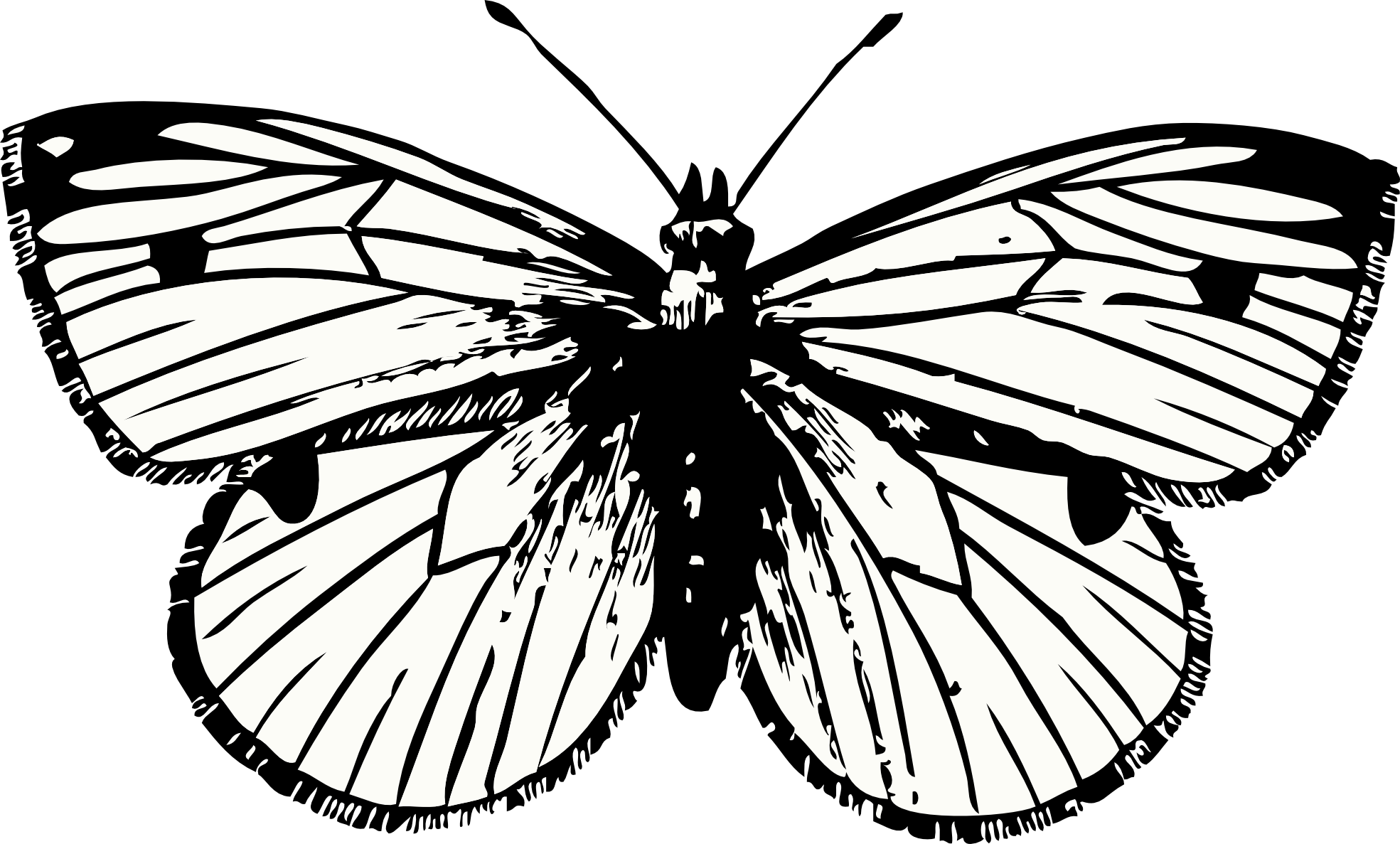 Butterfly Tattoo PNG