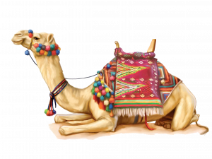 Camel PNG 2