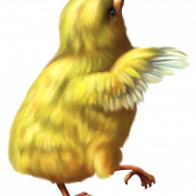 Chicken PNG 12