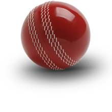 Bola de críquete Download grátis png
