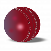 File ng Cricket Ball Png