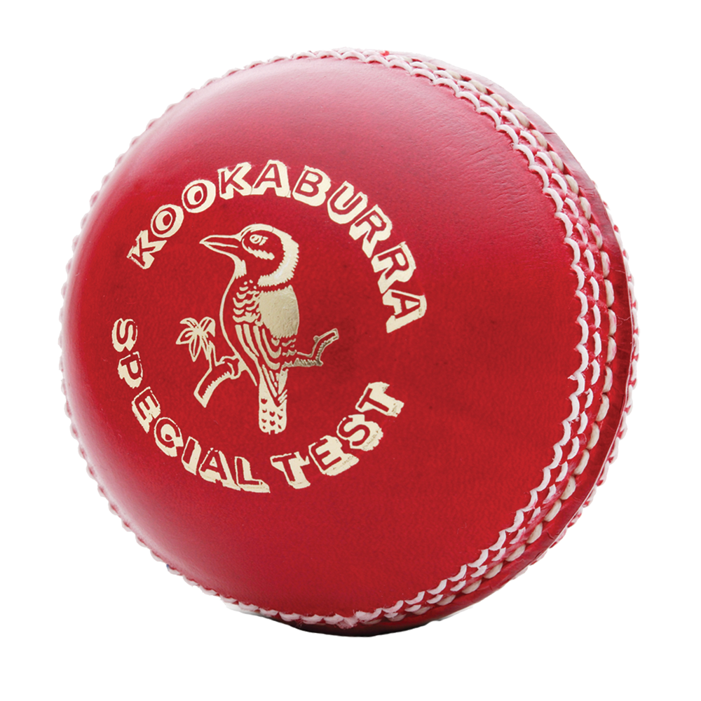Cricket Ball PNG Image