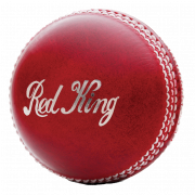 Transparent ng Cricket Ball