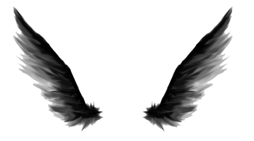 Angel oscuro Png Pic