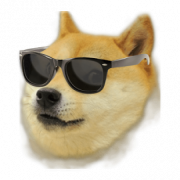 Doge Head Free Download PNG