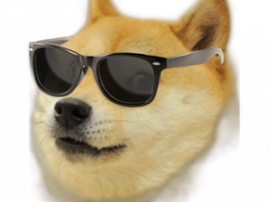 Doge Head Free Download PNG