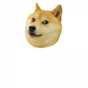 Doge Head PNG Clipart