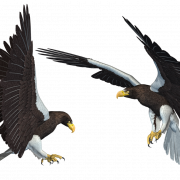 Eagle PNG 11