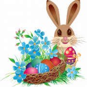 Easter Bunny Png HD