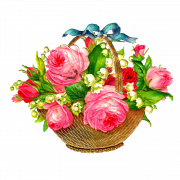 PNG HD di Flower Pasqua