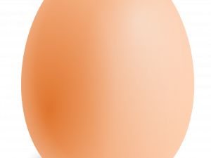 Egg Free Download PNG