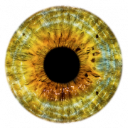 Yeux png 4