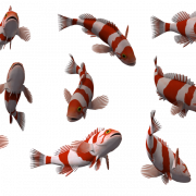 Fish PNG 10