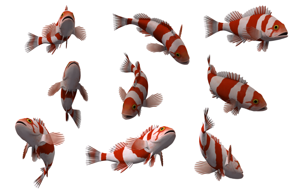 Fish PNG 10