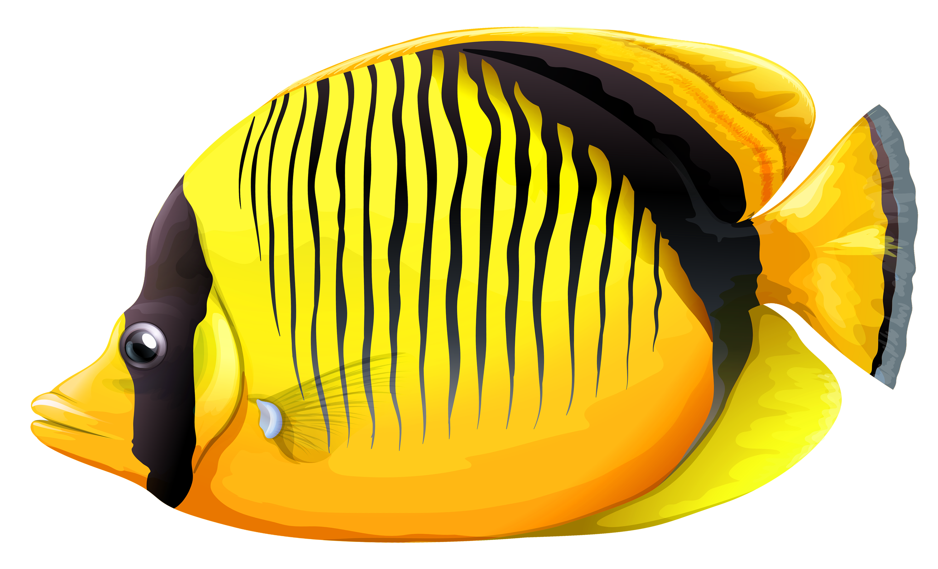 Fish PNG 14