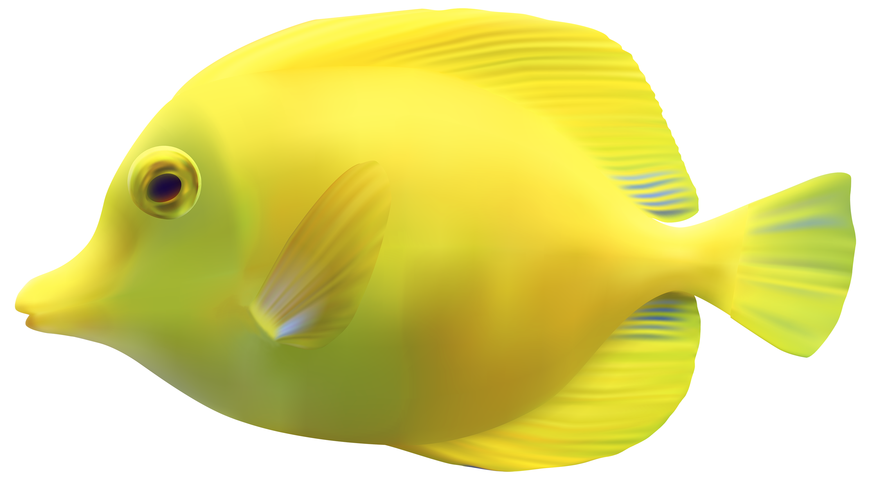 Fish PNG 15