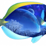 Fish PNG 6