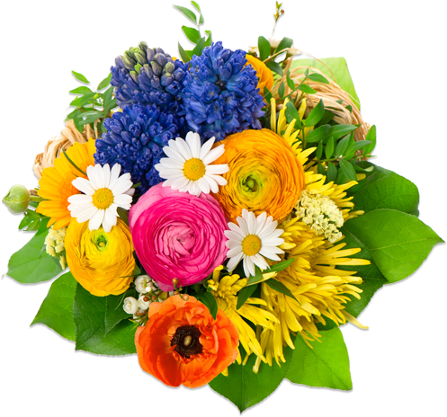 Flowers PNG 6