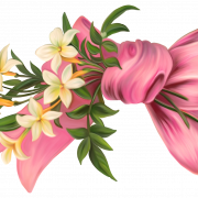 Цветы PNG 8