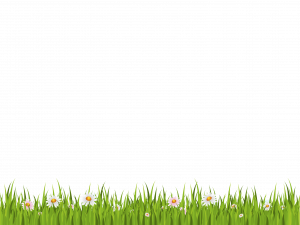 Grass PNG Transparent Images - PNG All