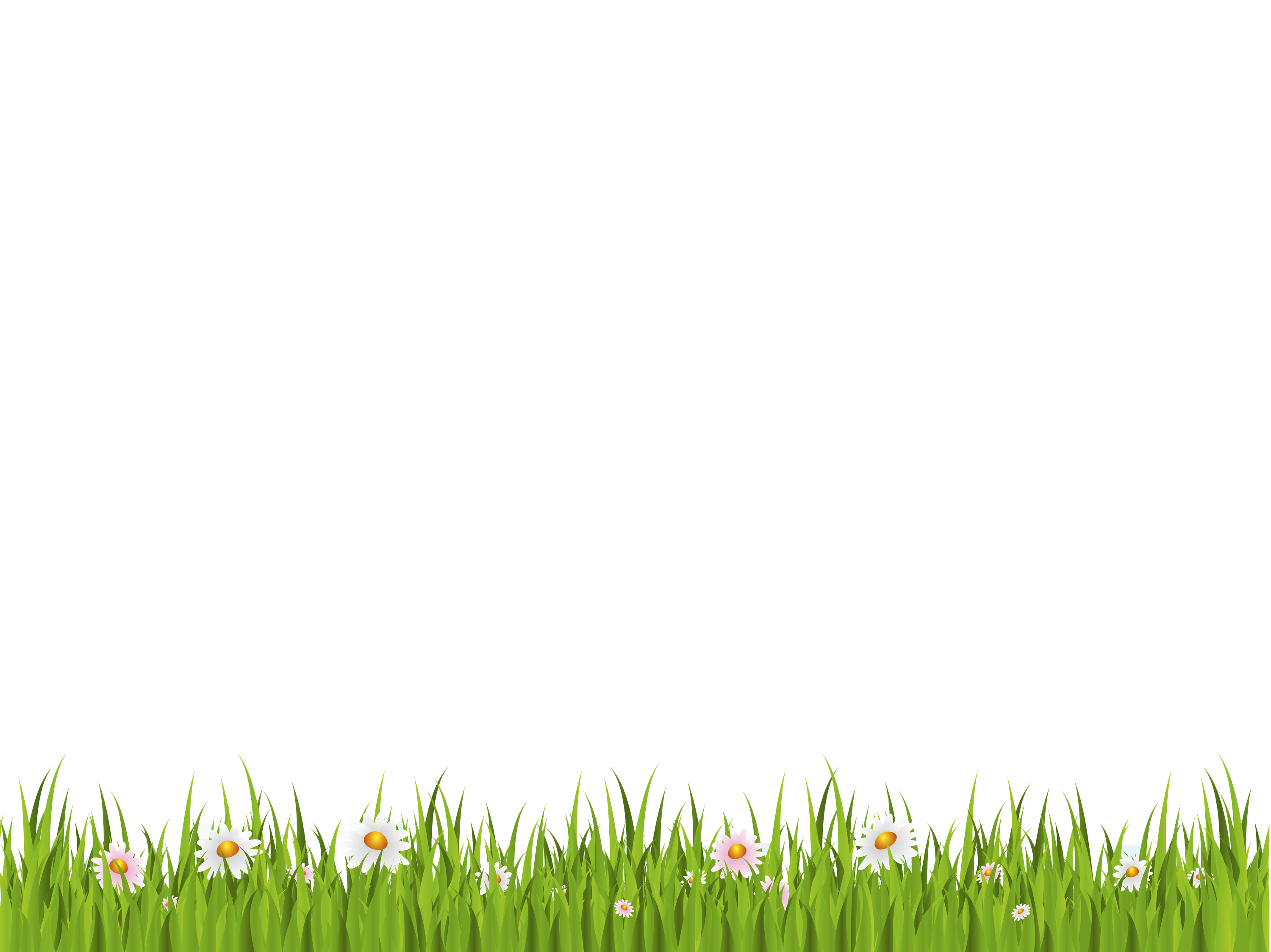 Grass PNG File