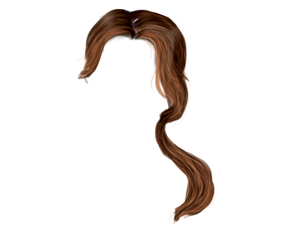 Hair PNG 8