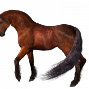 Horse PNG 2