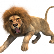 Immagine PNG di sfondo di leone