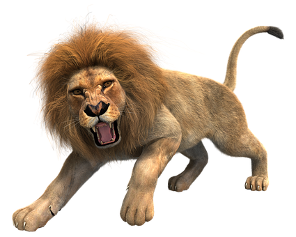 Lion Background PNG Image
