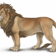Lion No Background