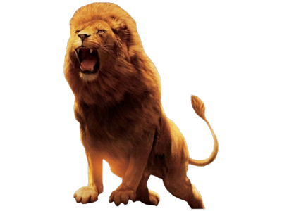 Lion Transparent PNG