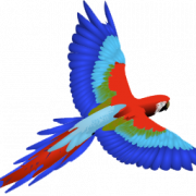 Macaw PNG Clipart