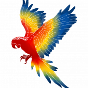 Gambar PNG Macaw