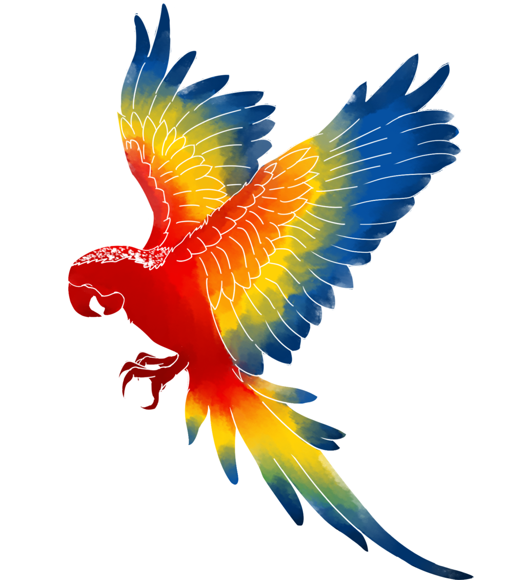 Immagine PNG Macaw