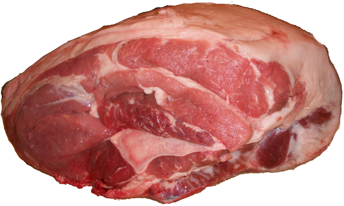 Immagine PNG di carne