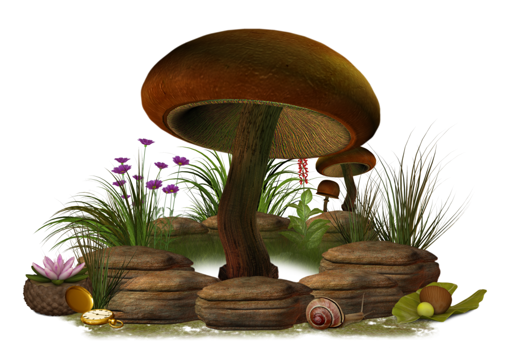 Mushroom PNG Clipart