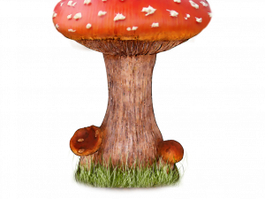 Mushroom PNG File