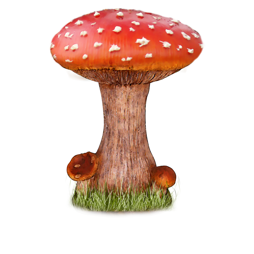Mushroom PNG Transparent Images - PNG All