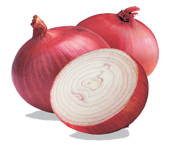 Onion Free PNG Image