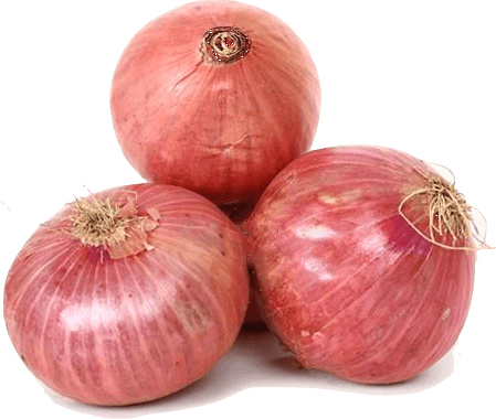 Onion PNG Clipart