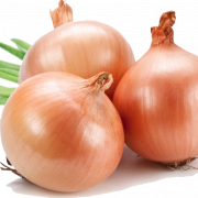 Onion PNG File