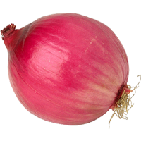 Immagine PNG di cipolla
