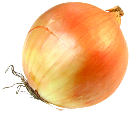 Onion Transparent