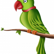 PIC PARROT PNG