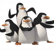 Penguin Free PNG Image